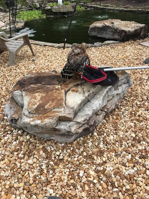 Erie Wildlife Removal Pro Picture 3
