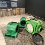 Buk Restoration