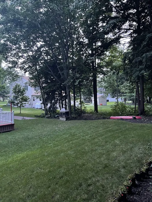 Turf Doctor Lawn & Pest Services Picture 3
