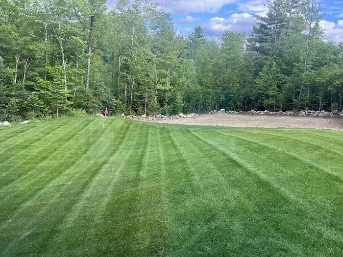 Turf Doctor Lawn & Pest Services Picture 10