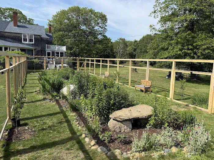 Turf Doctor Lawn & Pest Services Picture 6