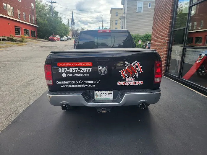 P.W.I Pest Solutions Picture 2