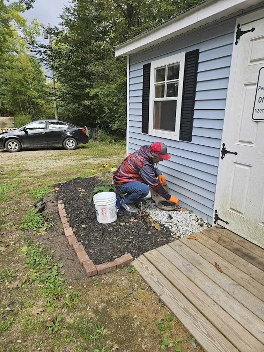 P.W.I Pest Solutions Picture 4