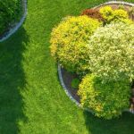 Green T Lawn