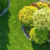 Green T Lawn ico