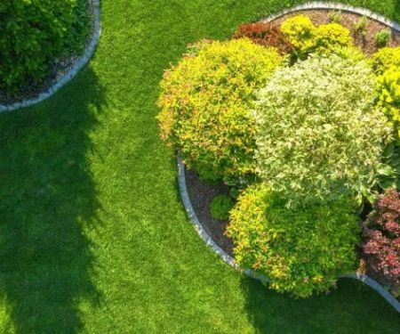 Green T Lawn