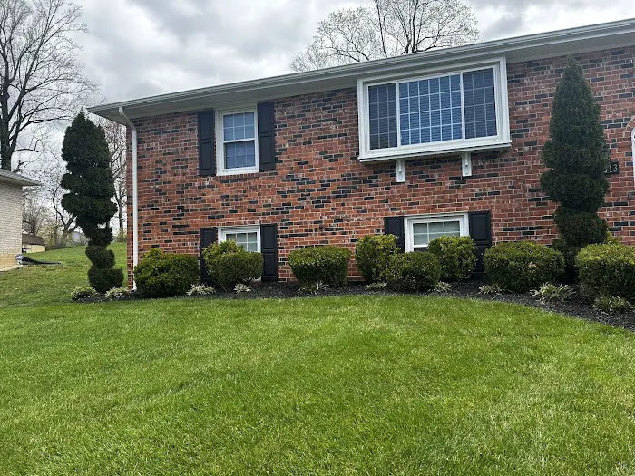Green T Lawn Picture 3