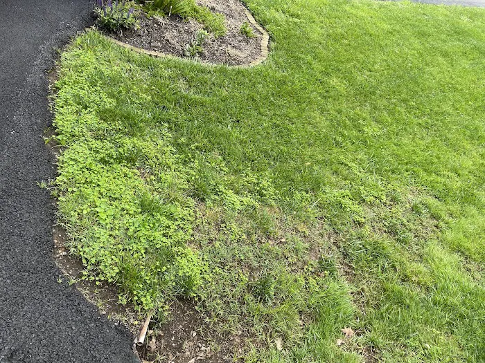 Lawn Doctor of Montgomery County Picture 5