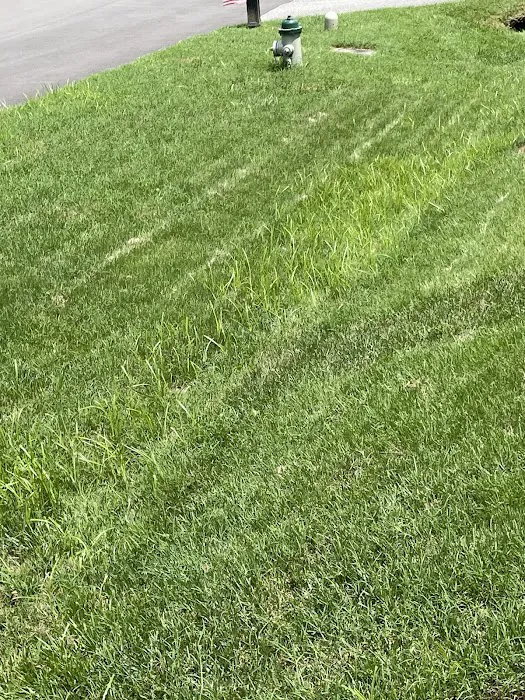 Lawn Doctor of Montgomery County Picture 8