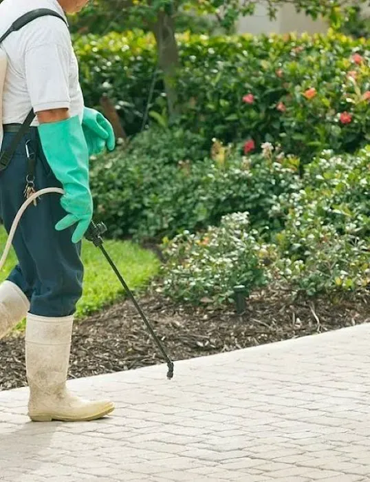 First Solutions Pest & Home Services Picture 3