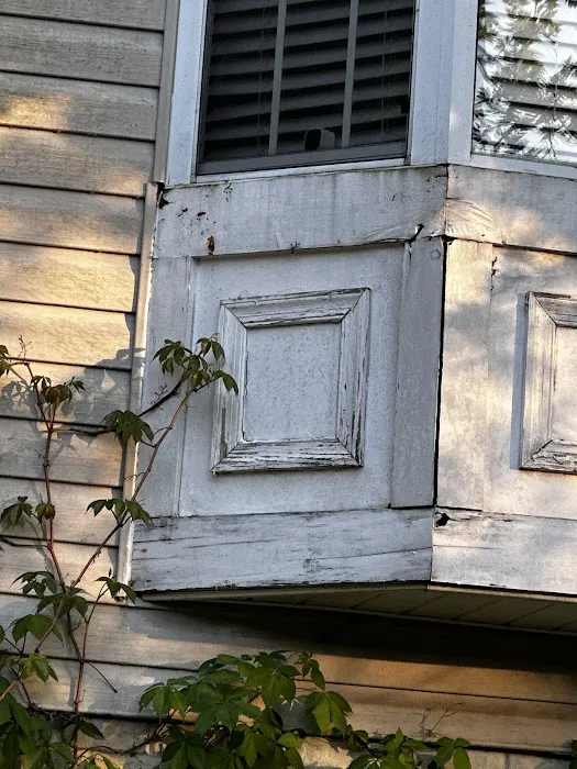 Pestechs Pest Control Picture 7