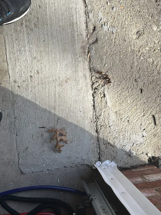 Pestechs Pest Control Picture 5