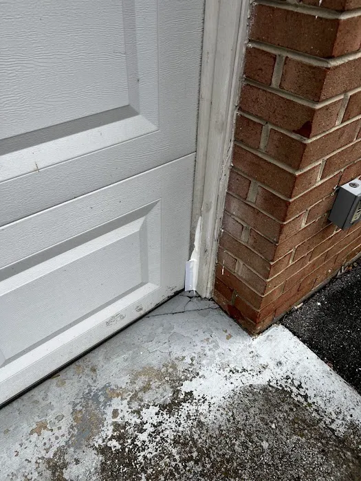 Pestechs Pest Control Picture 3