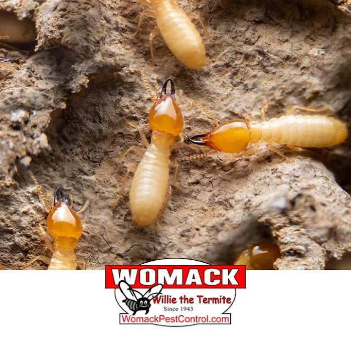 Womack Pest Control Picture 3
