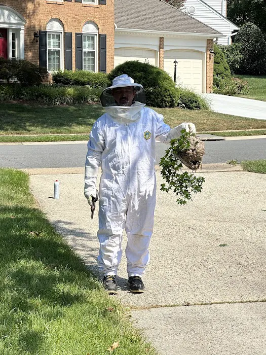 Pest Management Services Picture 3