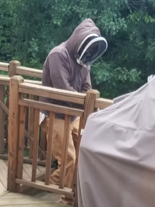Bee Be Gone Picture 2