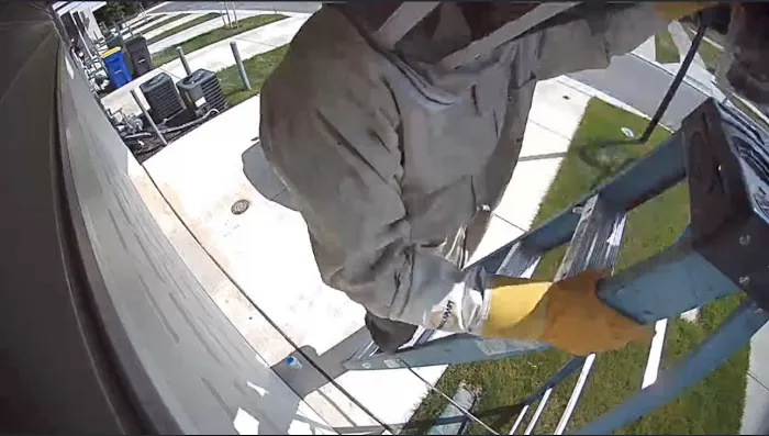 Bee Be Gone Picture 5
