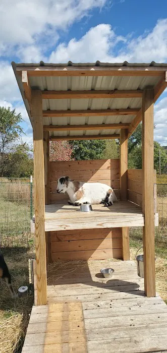 Bee Be Gone Picture 1