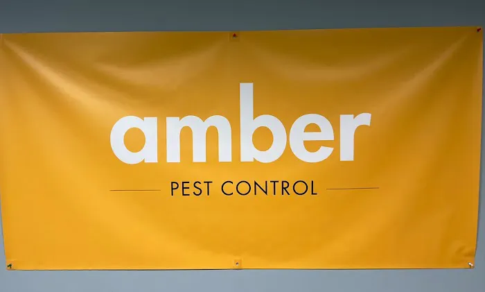 Amber Pest Control Picture 8