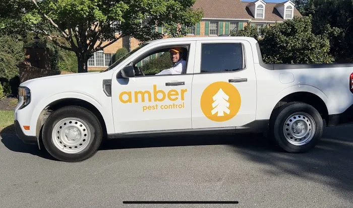 Amber Pest Control Picture 4