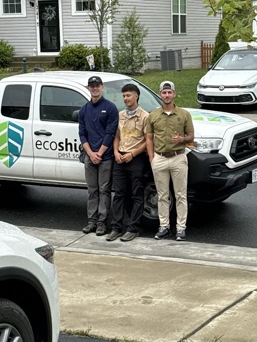 EcoShield Pest Solutions Picture 2