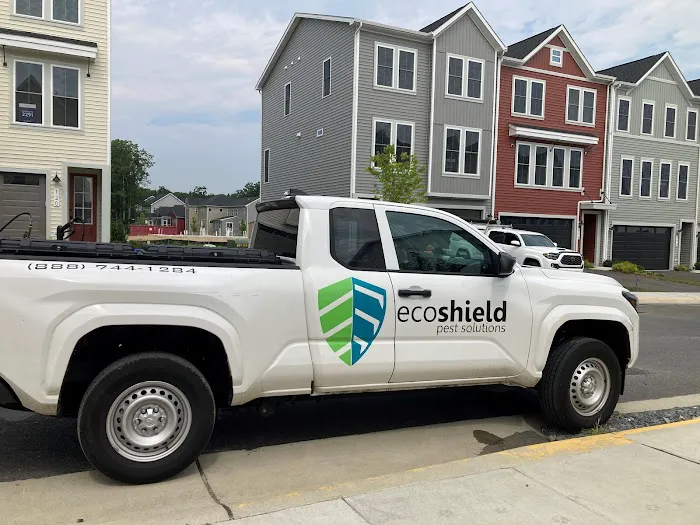 EcoShield Pest Solutions Picture 7