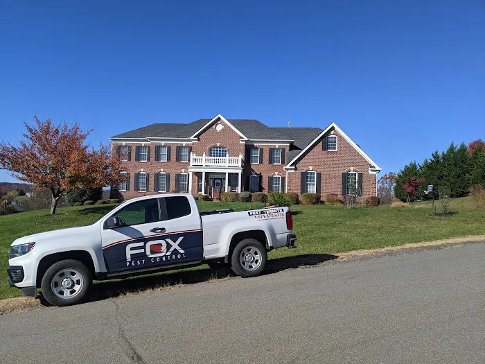 Fox Pest Control Picture 4
