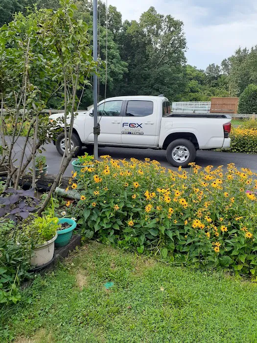 Fox Pest Control Picture 2