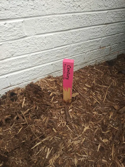 Century Termite and Pest Picture 8