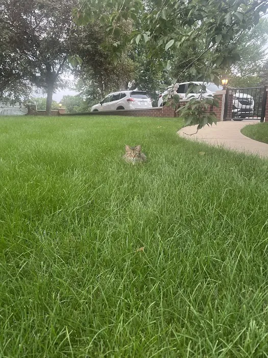 Kapp's Green Lawn Picture 6