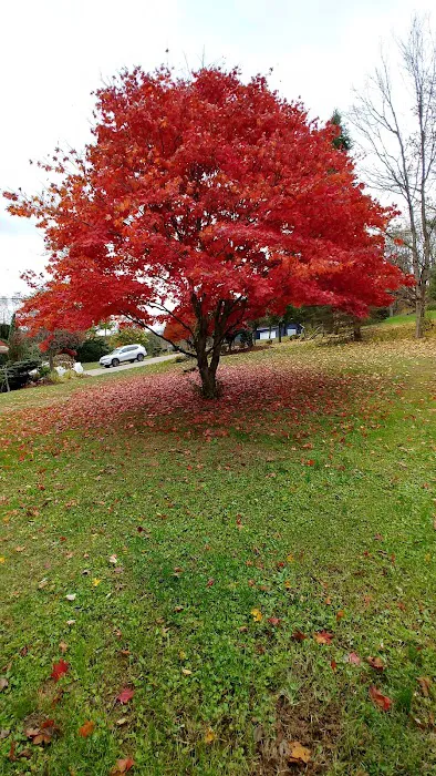 Kapp's Green Lawn Picture 8