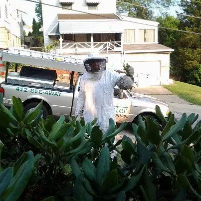 The Bee Hunter Picture 7
