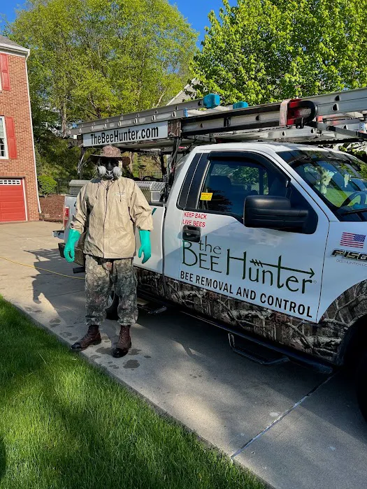 The Bee Hunter Picture 10