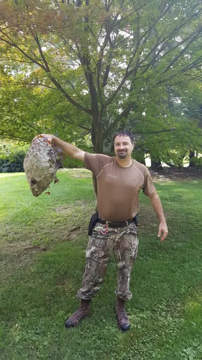 The Bee Hunter Picture 8