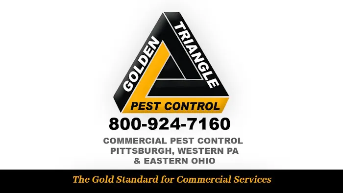 Golden Triangle Pest Control Picture 2