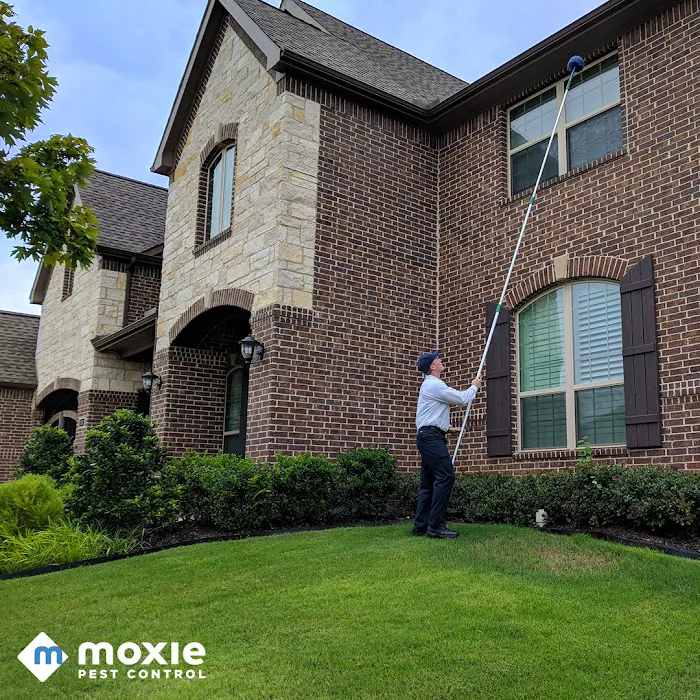 Moxie Pest Control Picture 6