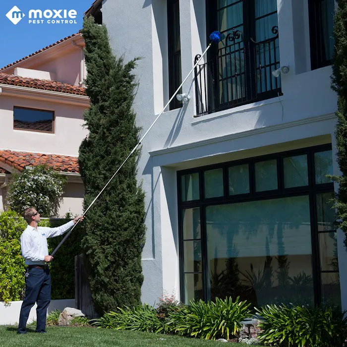 Moxie Pest Control Picture 8