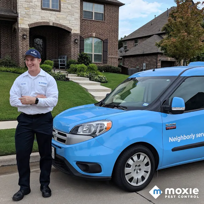 Moxie Pest Control Picture 7