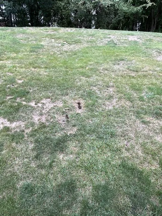 Moxie Pest Control Picture 5