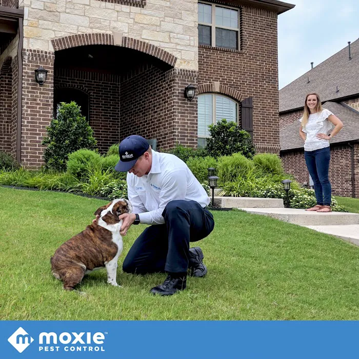 Moxie Pest Control Picture 10