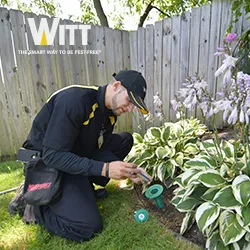 Witt Pest Management Picture 2