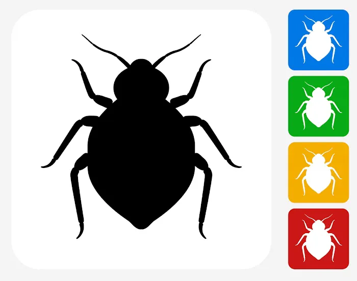 Integrated Bed Bug Removal Picture 9