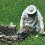 Frye Pest Management