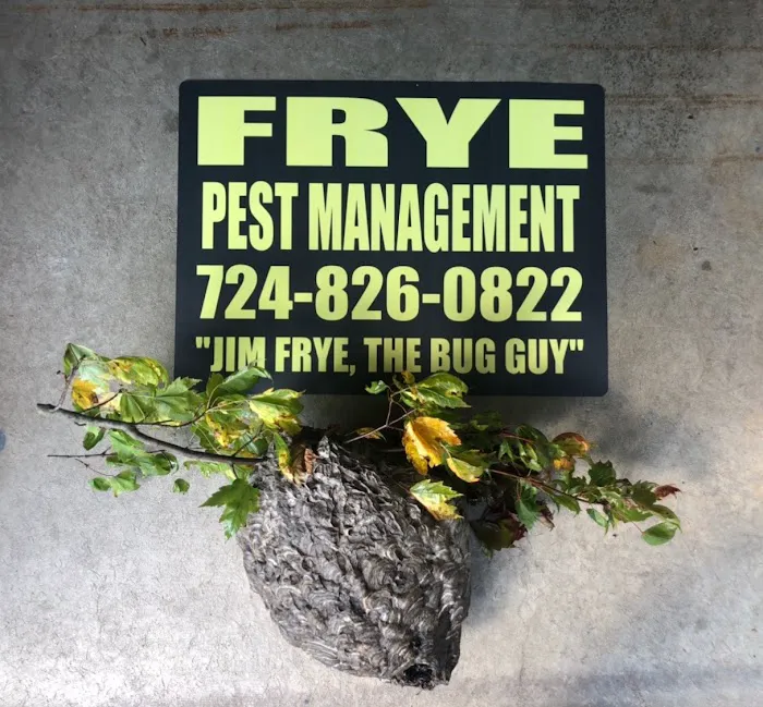 Frye Pest Management Picture 4