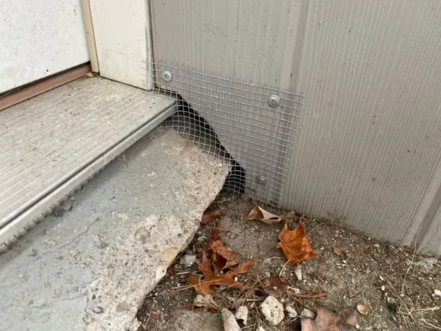 Vanquish Pest Management, Pittsburgh PA Picture 7