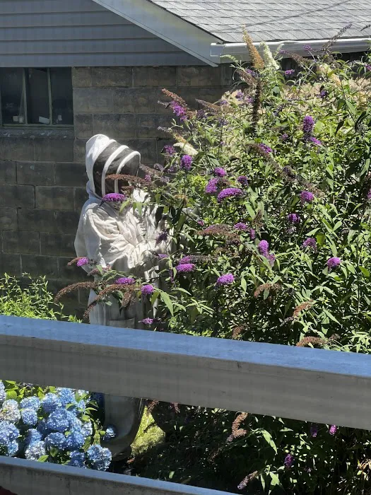 Vanquish Pest Management, Pittsburgh PA Picture 9