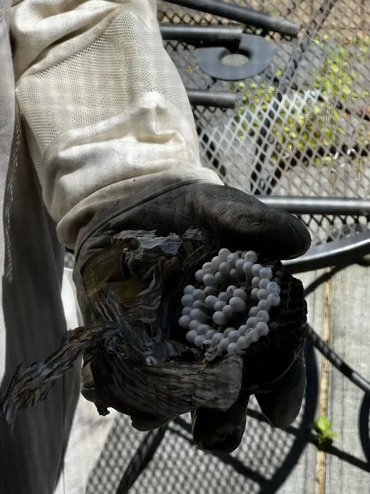 Vanquish Pest Management, Pittsburgh PA Picture 8