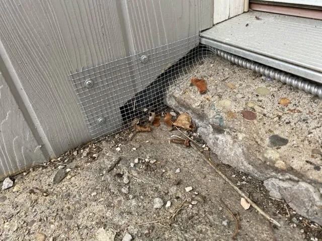 Vanquish Pest Management, Pittsburgh PA Picture 2