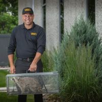 Varment Guard Wildlife Services ico