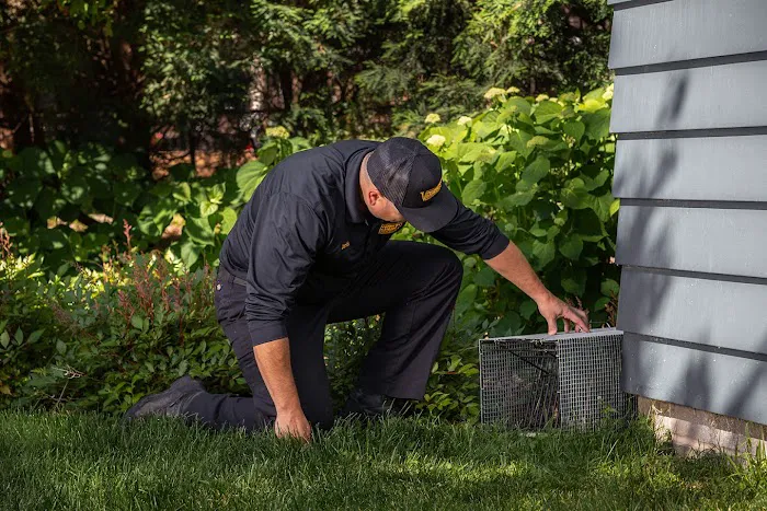 Varment Guard Wildlife Services Picture 4